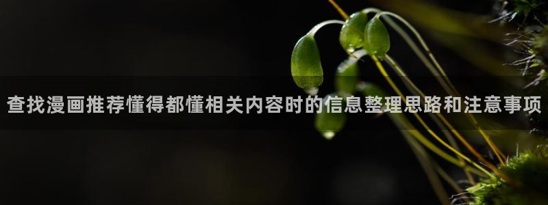 羞羞漫画排行榜:查找漫画推荐懂得都懂相关内容时的信息整理思路和注意事项